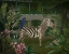 Picture of ZEBRA IN CONSERVATORY