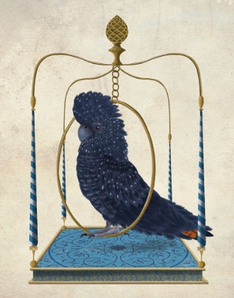 Picture of BLACK COCKATOO ON SWING