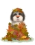 Picture of LANDED IN AUTUMN-BLACK AND WHITE DOG