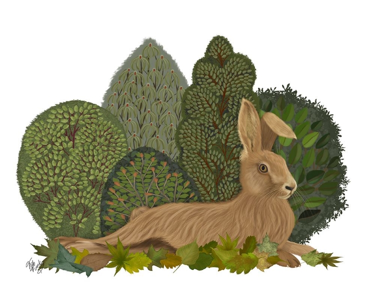 Picture of HARE RECLINING IN LEAVES