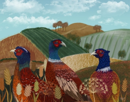 Picture of PHEASANT TRIO IN FIELD