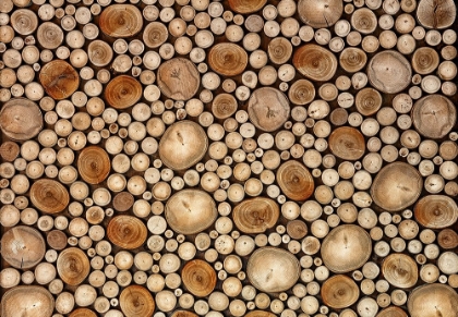 Picture of CIRCLES