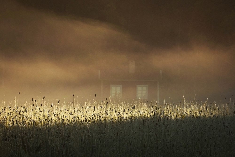 Picture of A SMALL RED COTTAGE