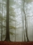 Picture of VISIBLE INVISIBILITY