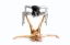 Picture of SILVER ON GOLD - GYMNAST SERIES