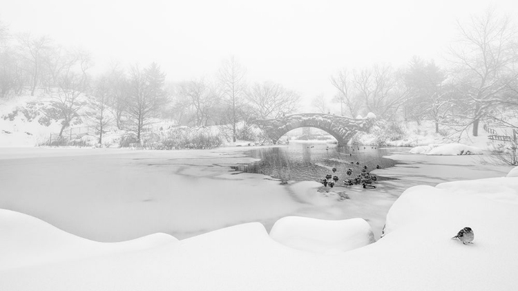 Picture of THE FIRST SNOW OF CENTRAL PARK