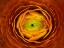 Picture of RANUNCULUS ASIATICUS