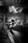 Picture of WALLRIDE