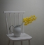 Picture of SIMPLICITY OF LIFE