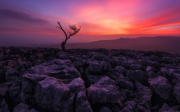 Picture of TWISLETON SCAR GLOW