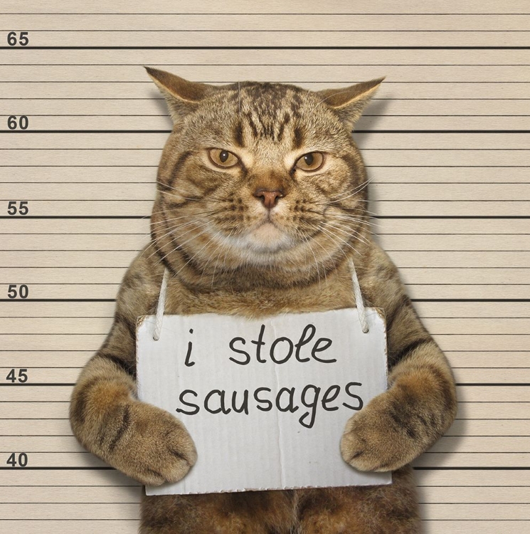 Picture of CRIME AND PUNISHMENT....