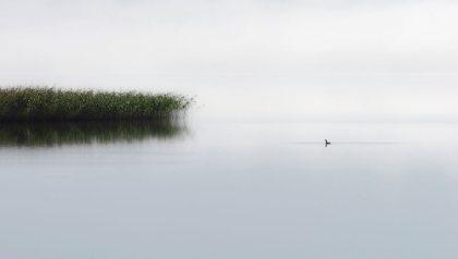 Picture of THE LONE FISHER