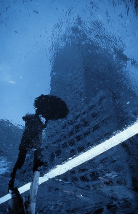 Picture of SWINGING IN THE RAIN-FROM THE SERIES QNEW YORK BLUESQ