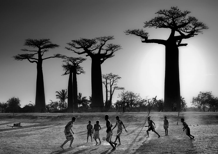 Picture of SOCCER AT SUNSET