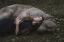 Picture of UNTITLED