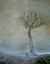 Picture of LONELY TREE