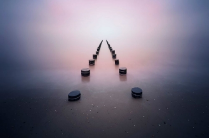 Picture of ALONE IN THE SILENCE