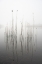 Picture of SILENCE