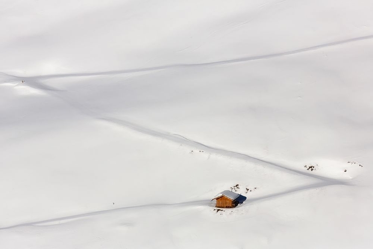 Picture of LOST IN THE SNOW