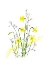 Picture of SIMPLY SPRING