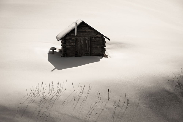 Picture of HUT WITH CHIMNEY