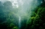 Picture of GREEN