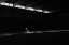 Picture of BALLANDO NELLA LUCE