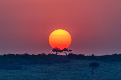 Picture of EQUATORIAL SUNSET