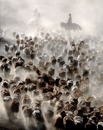 Picture of THE GREAT MIGRATION OF CHINA