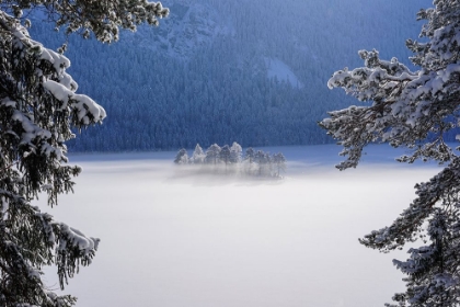Picture of FOG OVER FROZEN LAKE