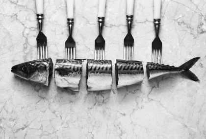 Picture of MACKERELAFORKS