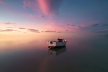 Picture of TARRAGONA DELTA DEL EBRE ALONE