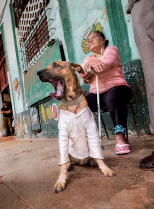 Picture of CUBA