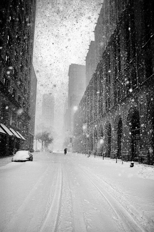 Picture of NEW YORK WALKER IN BLIZZARD