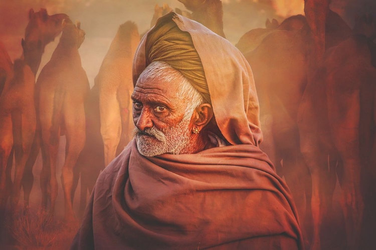 Picture of OLD RAJASTHANI MAN