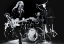 Picture of BLUES TRAVELERS