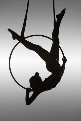Picture of THE AERIALIST