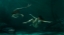 Picture of MERMAID