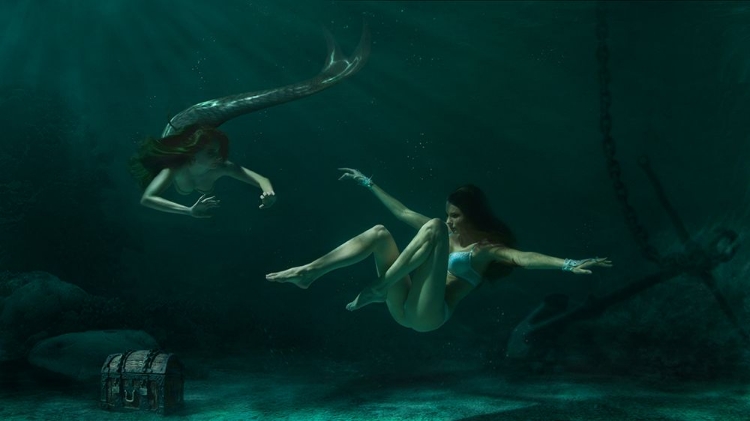 Picture of MERMAID