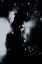 Picture of COLD WINTER NIGHT SILHOUETTE
