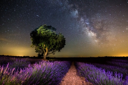 Picture of NIGHT LANDSCAPE OF BRIHUEGA,SPAIN.