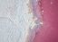 Picture of SALTY WORLD II