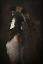 Picture of LADY KNIGHT