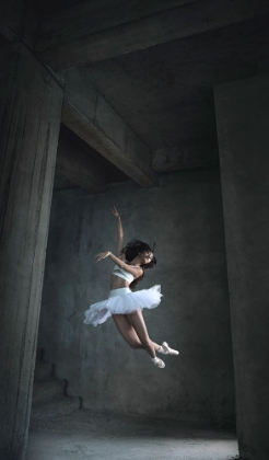 Picture of FLYING DANCE
