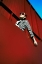 Picture of UP THE FASHION