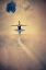 Picture of BALANCE OF LIFE