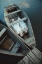 Picture of BOATS