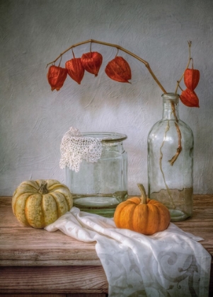 Picture of STILL LIFE WITH PHYSALIS AND PUMPKIN