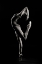 Picture of D?DRN
