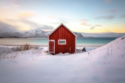 Picture of UNDER AN ARCTIC SKY